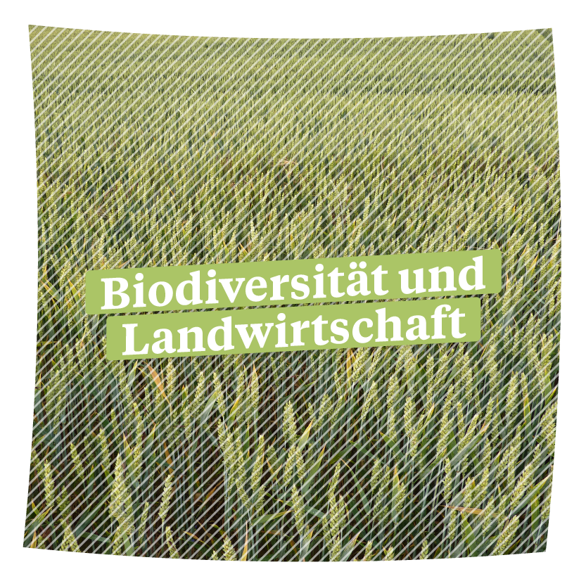 biodiversitaet-und-landwirtschaft