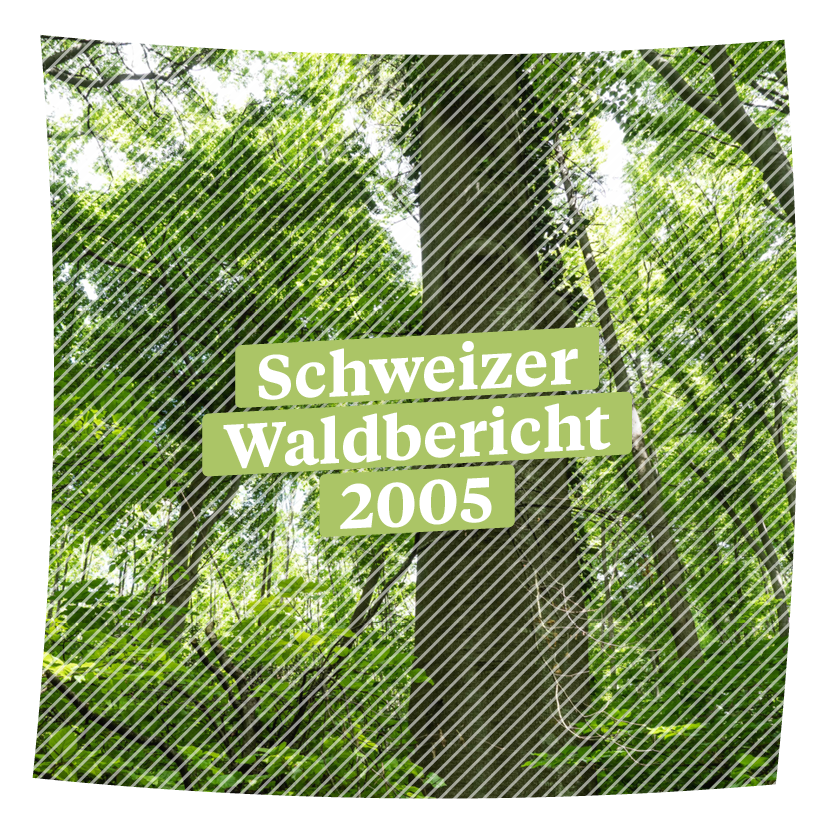 Schweizer Waldbericht